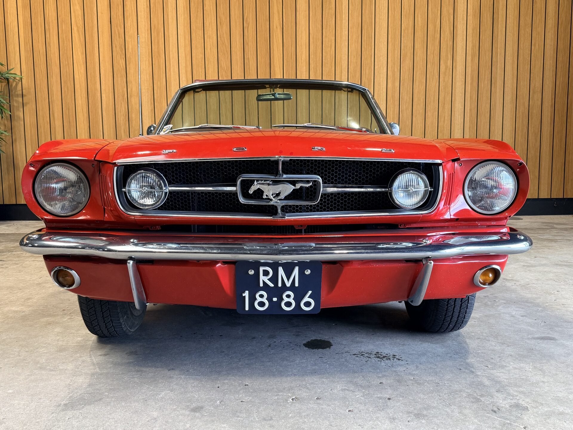 Ford Mustang Convertible 289 V8 Automaat. vvfffvf, foto 9