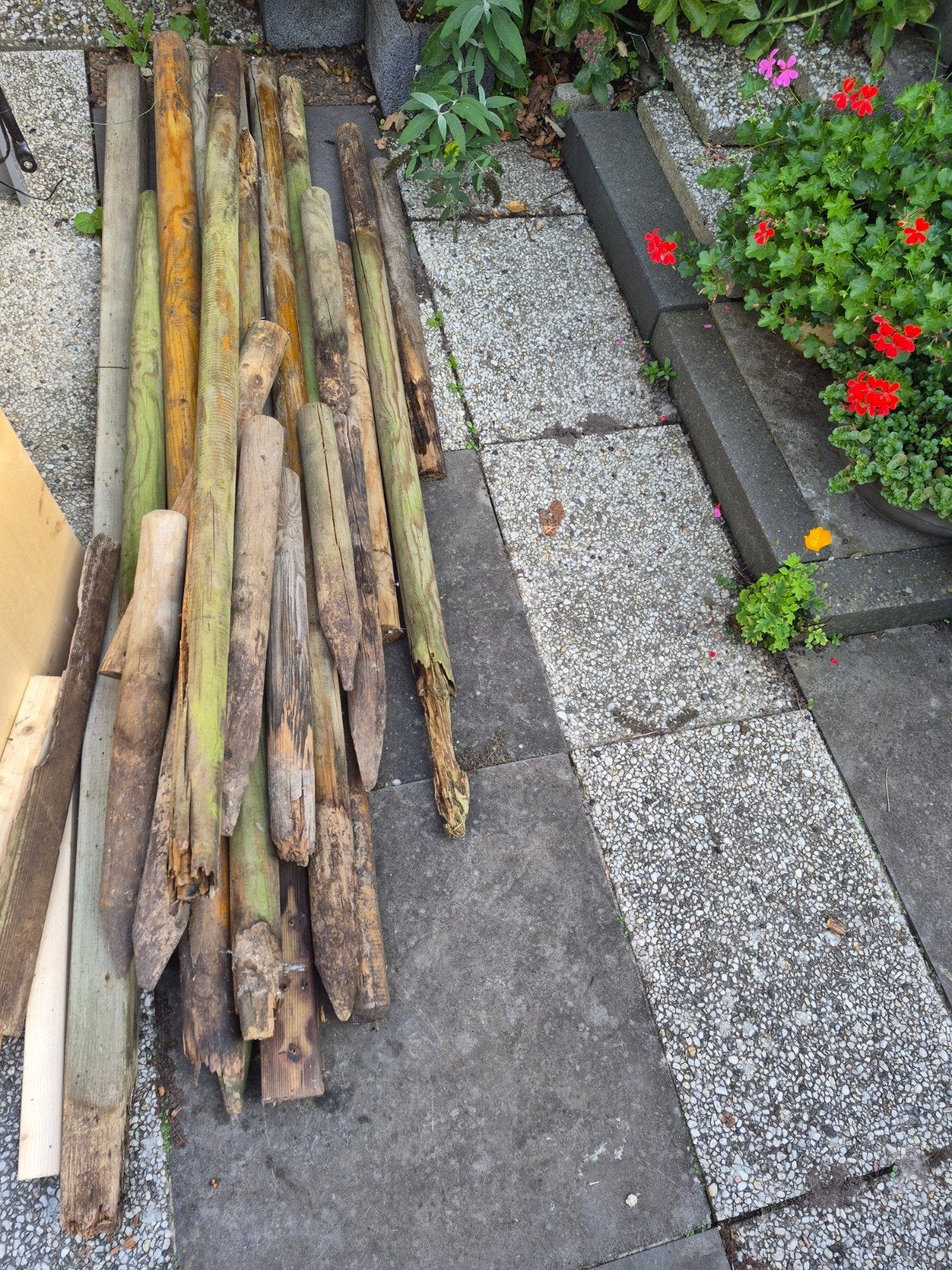 Gratis: diverse hardhout palen en gewoon hout, Tuin en Terras, Ophalen, Gebruikt, Overige typen, Hardhout