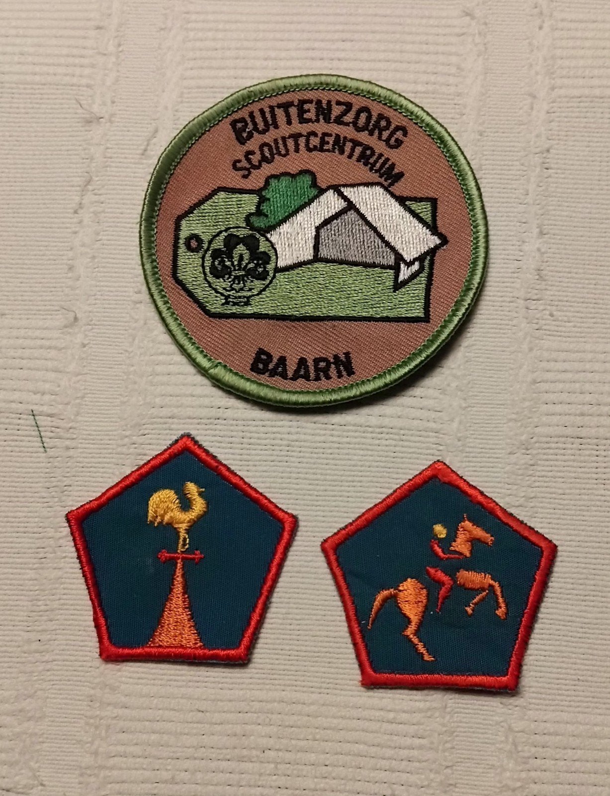Scouting Emblemen - Buitenzorg Baarn, Ophalen of Verzenden, Gebruikt, Embleem, Speld of Insigne