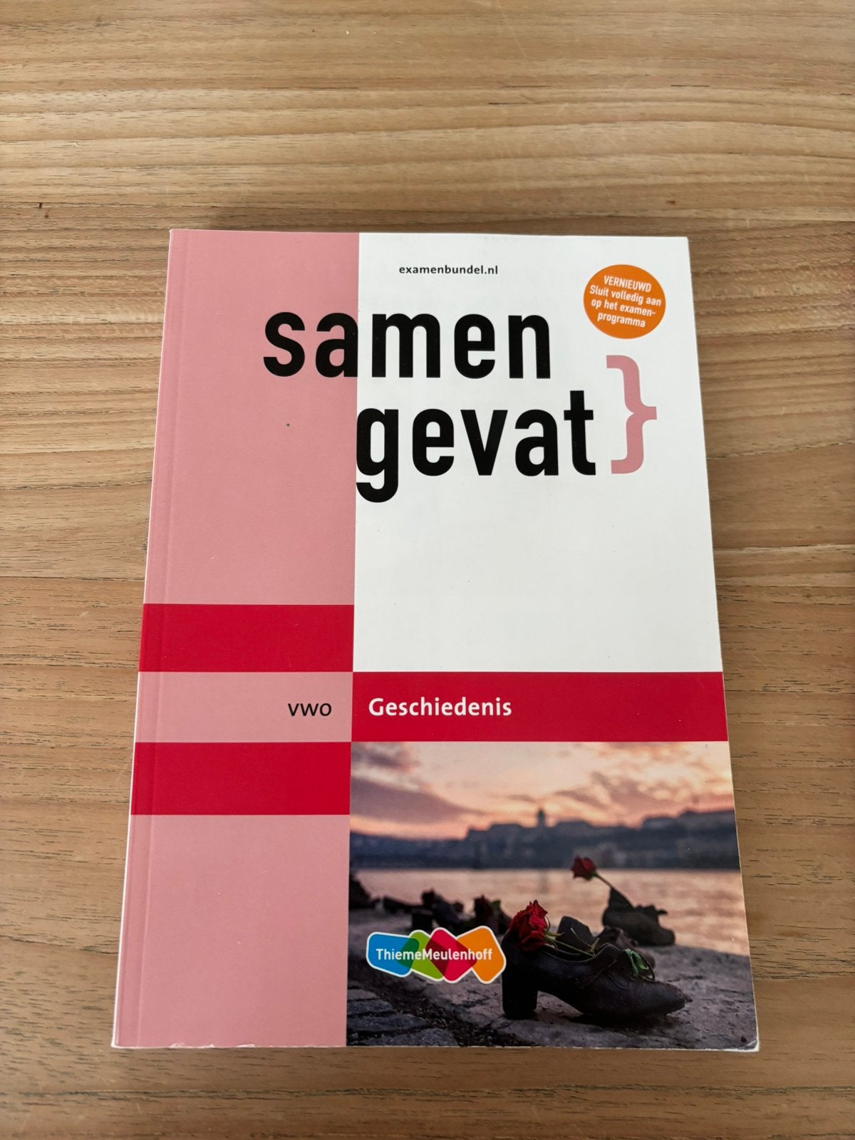 vwo Geschiedenis samengevat, Ophalen of Verzenden, Nieuw, VWO, Geschiedenis