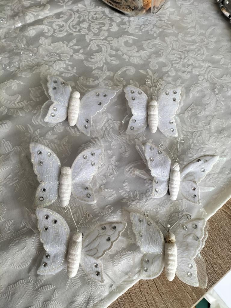 Decoratieve vlinders 6, Dieren en Toebehoren, Insecten en Spinnen, Bijen