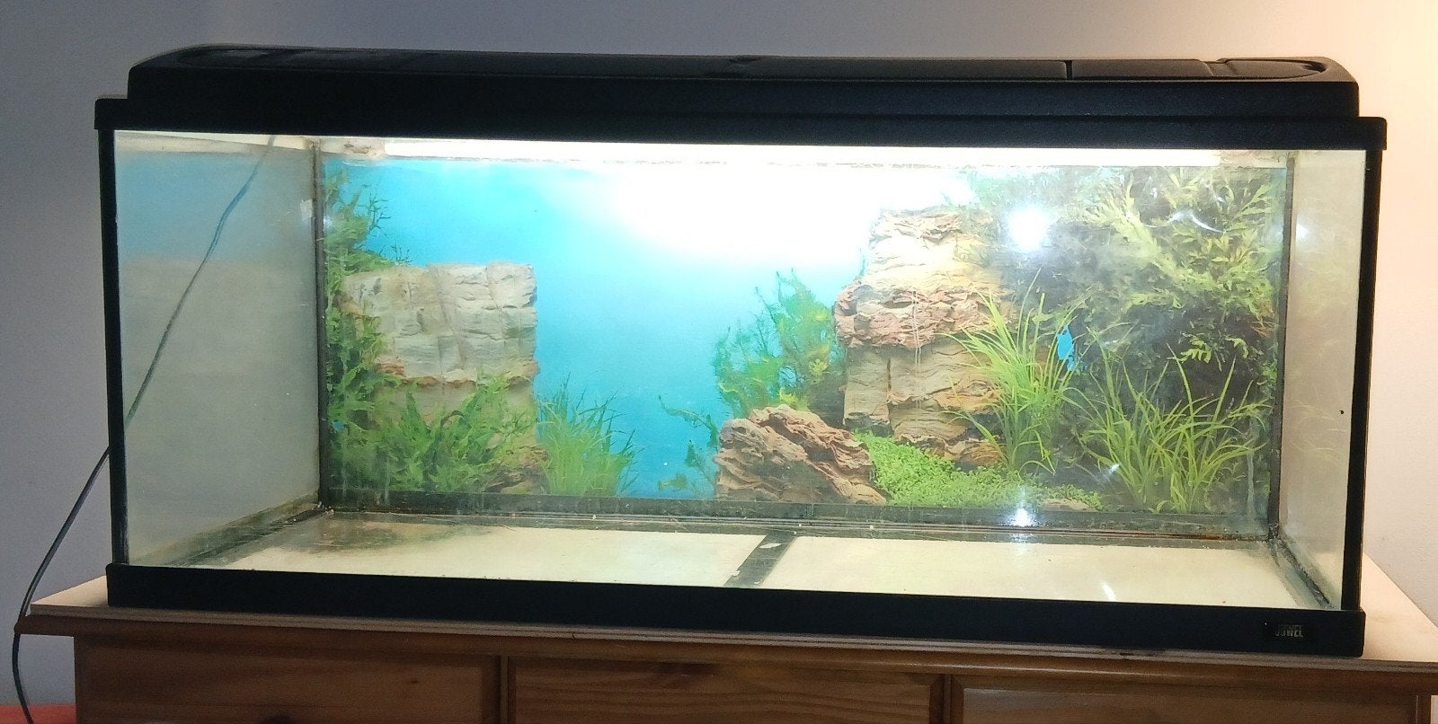 leeg aquarium 100x40x40cm 160 liter, Ophalen, Gebruikt, Leeg aquarium