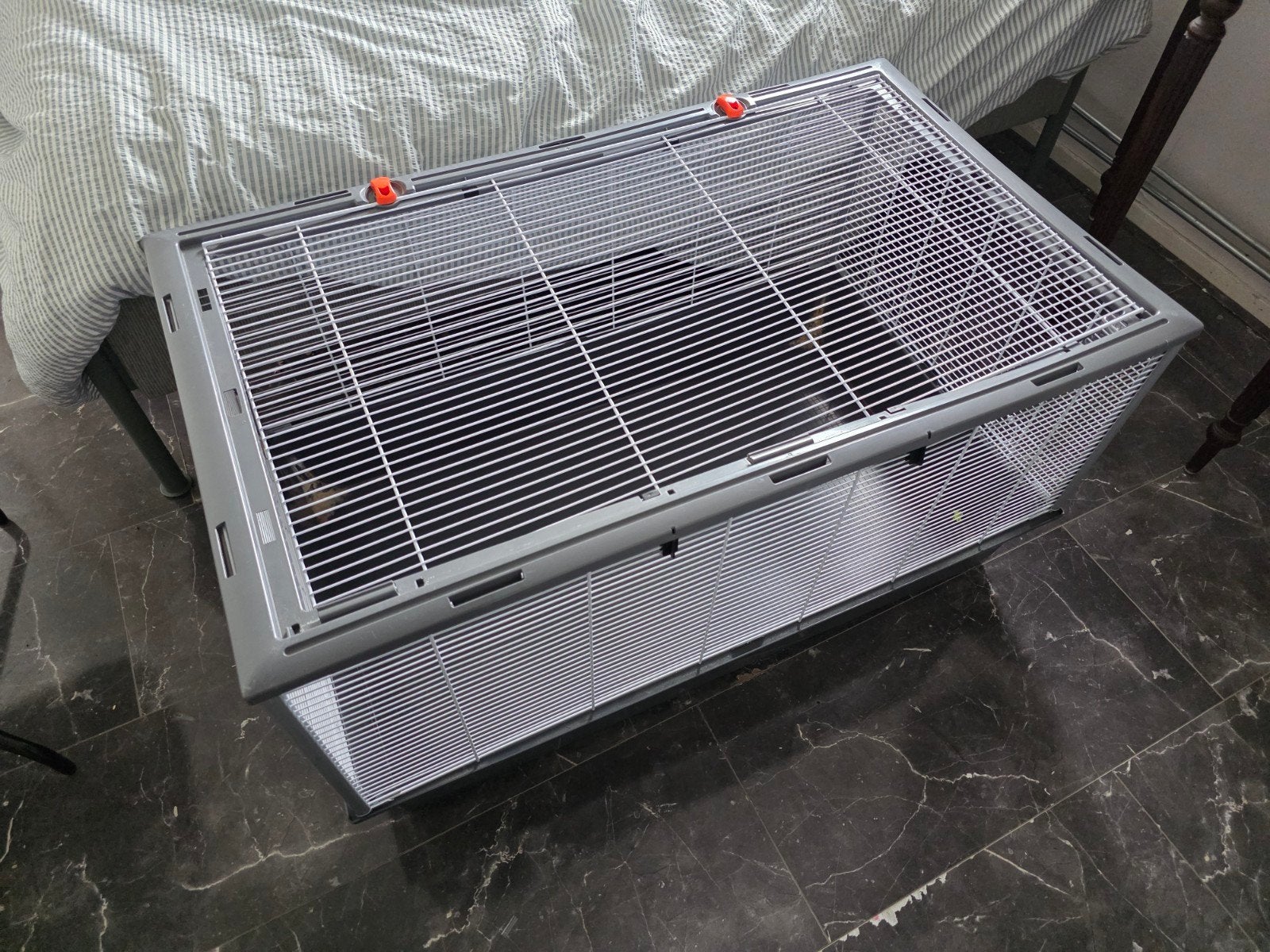 konijn of cavia hok, Ophalen, Minder dan 75 cm, Kooi, Minder dan 60 cm
