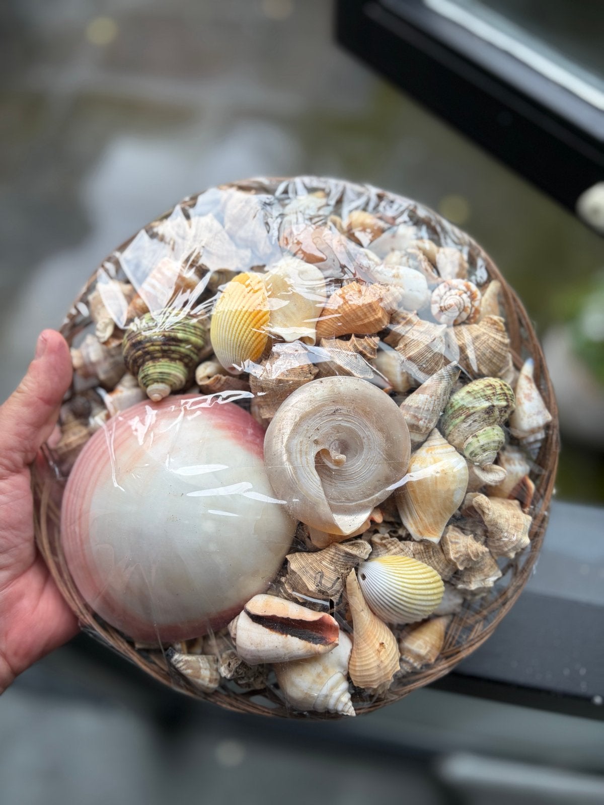 Decoratieve schelpenmix in rieten mand - 1300 gram, Ophalen of Verzenden, Zo goed als nieuw