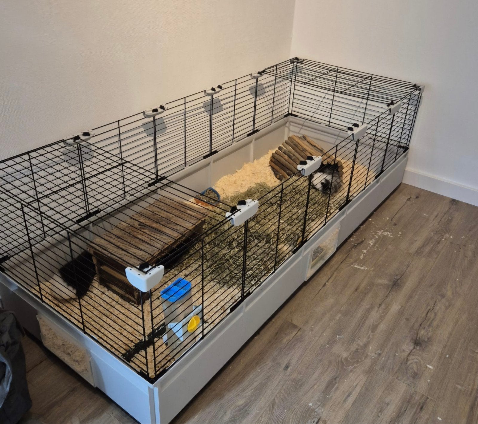 Zo goed als nieuw groot caviahok Ferplast 179X72 cm, Dieren en Toebehoren, Ophalen, Zo goed als nieuw, Overige typen