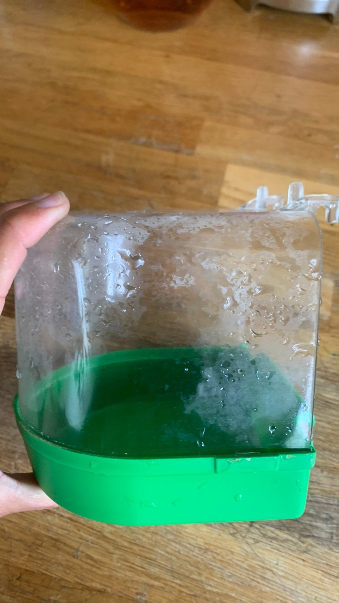 Drink- en badderbakje voor vogels, Ophalen of Verzenden, Zo goed als nieuw, Eten en Drinken