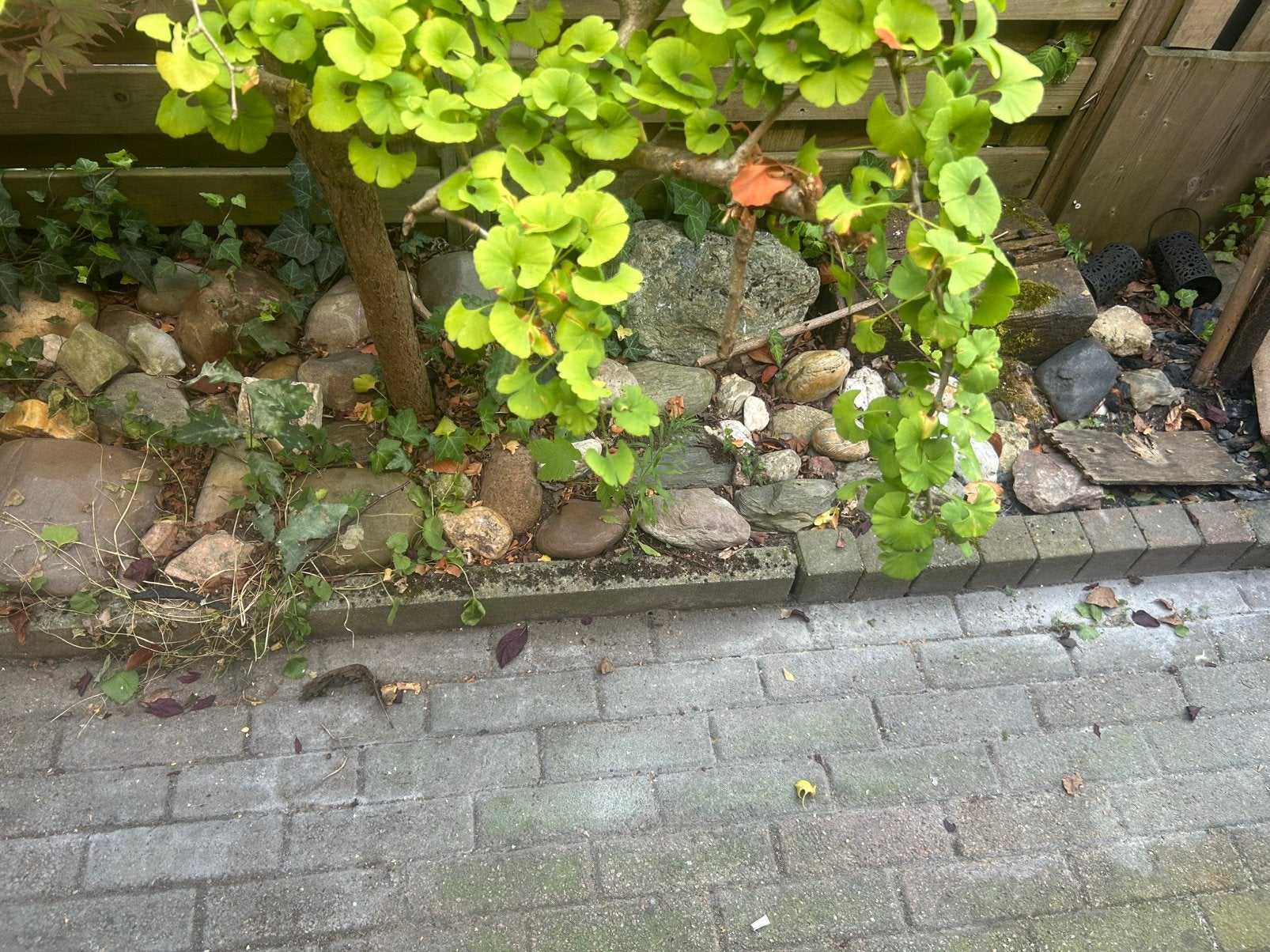 Kleine keitjes, Ophalen, Zo goed als nieuw, Natuursteen, Minder dan 25 cm