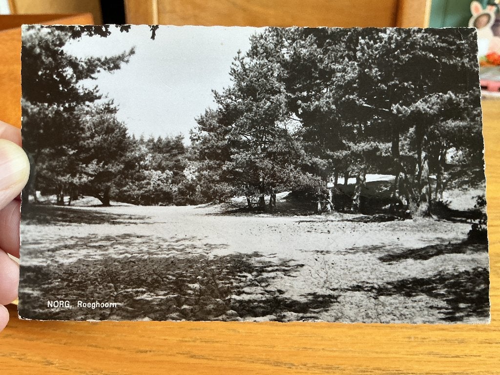 Norg Roeghoorn, Ophalen of Verzenden, 1960 tot 1980, Gelopen, Drenthe