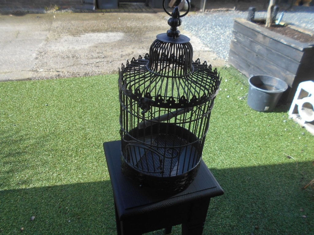 Kleine oude vogelkooi, Ophalen of Verzenden, Gebruikt, Metaal, Vogelkooi