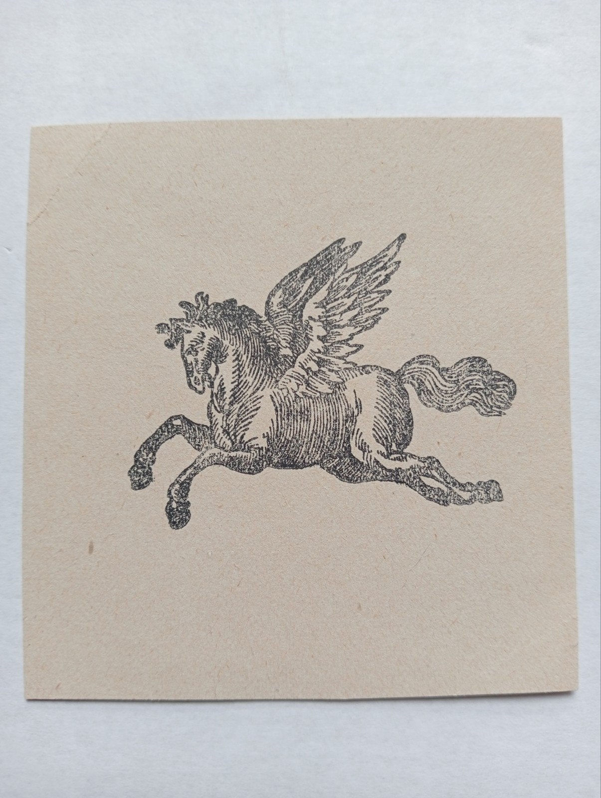 Albrecht Dürer Pegasus exlibris, Ophalen of Verzenden