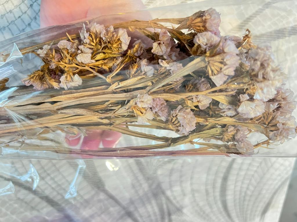 Droogbloemen nieuw, Huis en Inrichting, Ophalen of Verzenden, Nieuw