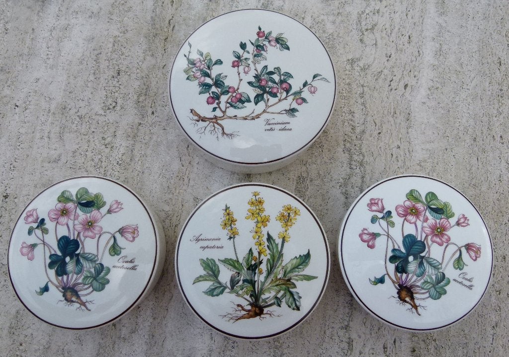 BOTANICA Villeroy & Boch Mokken Deksel Dozen + Kommen K + S, Huis en Inrichting, Keuken | Servies, Villeroy & Boch, Nieuw, Ophalen of Verzenden