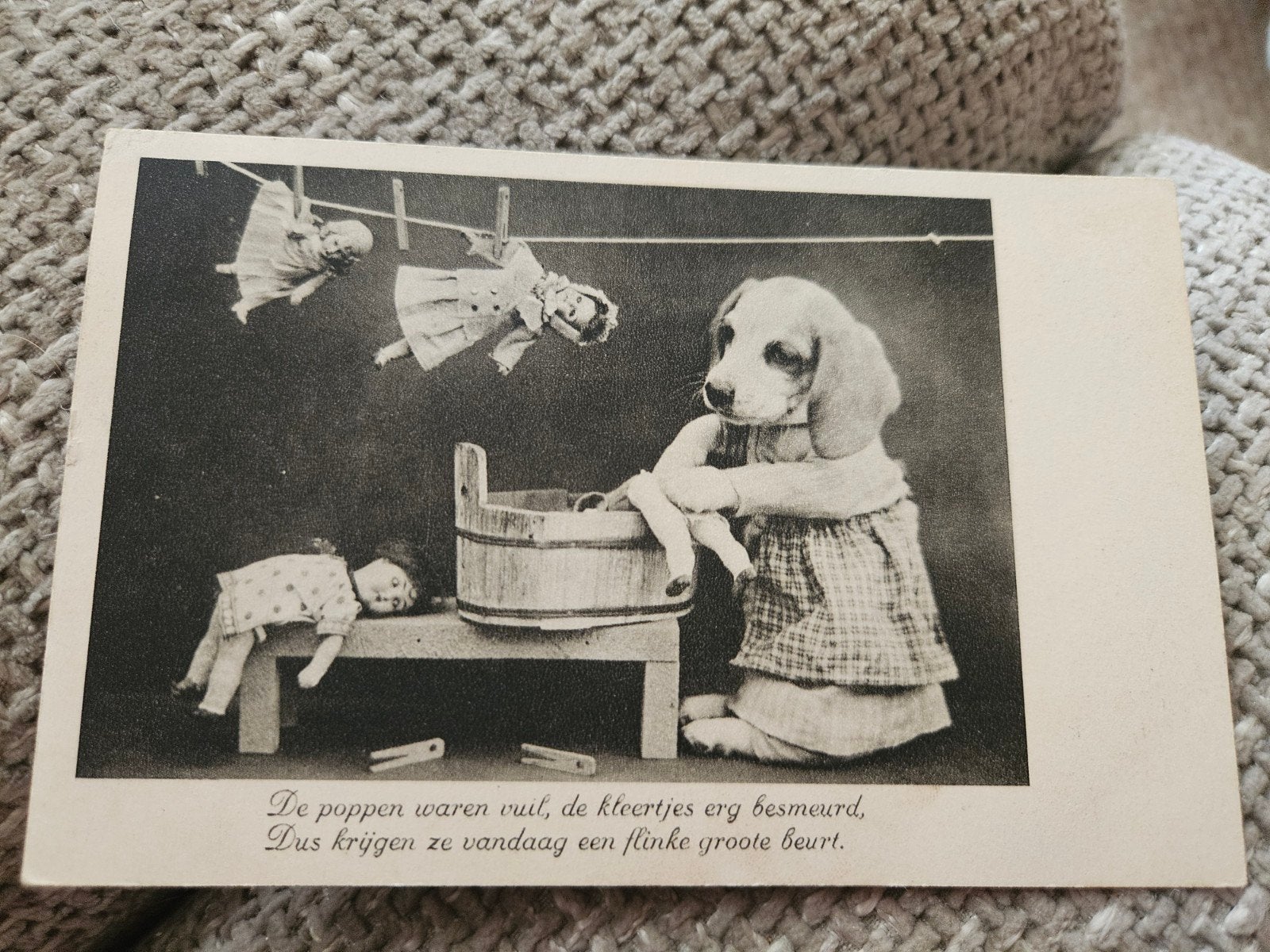 Poppen Wassen - hondje 1935, Ophalen of Verzenden, 1940 tot 1960, Gelopen