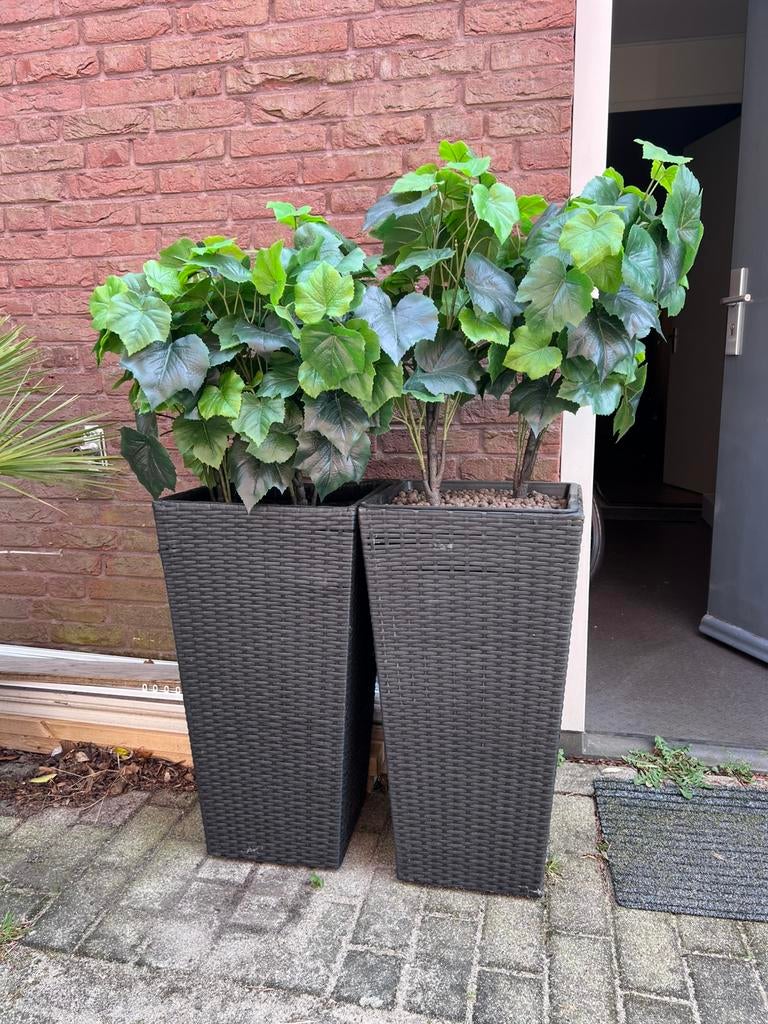 Twee grote kunstplanten in bakken, Ophalen, Kunststof, Rond, Zo goed als nieuw