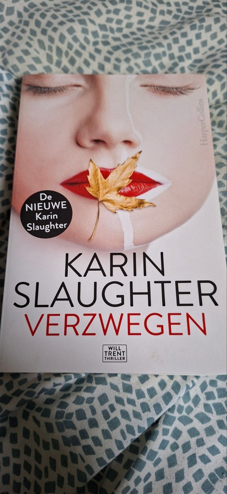 Karin Slaughter - Verzwegen, Ophalen of Verzenden, Zo goed als nieuw, Karin Slaughter