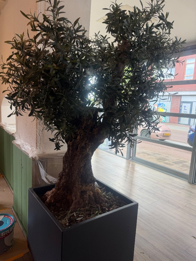 Grote kunst olijfboom met zware bak, Groen, Onderhoudsvrij, Kunstplant, Zo goed als nieuw