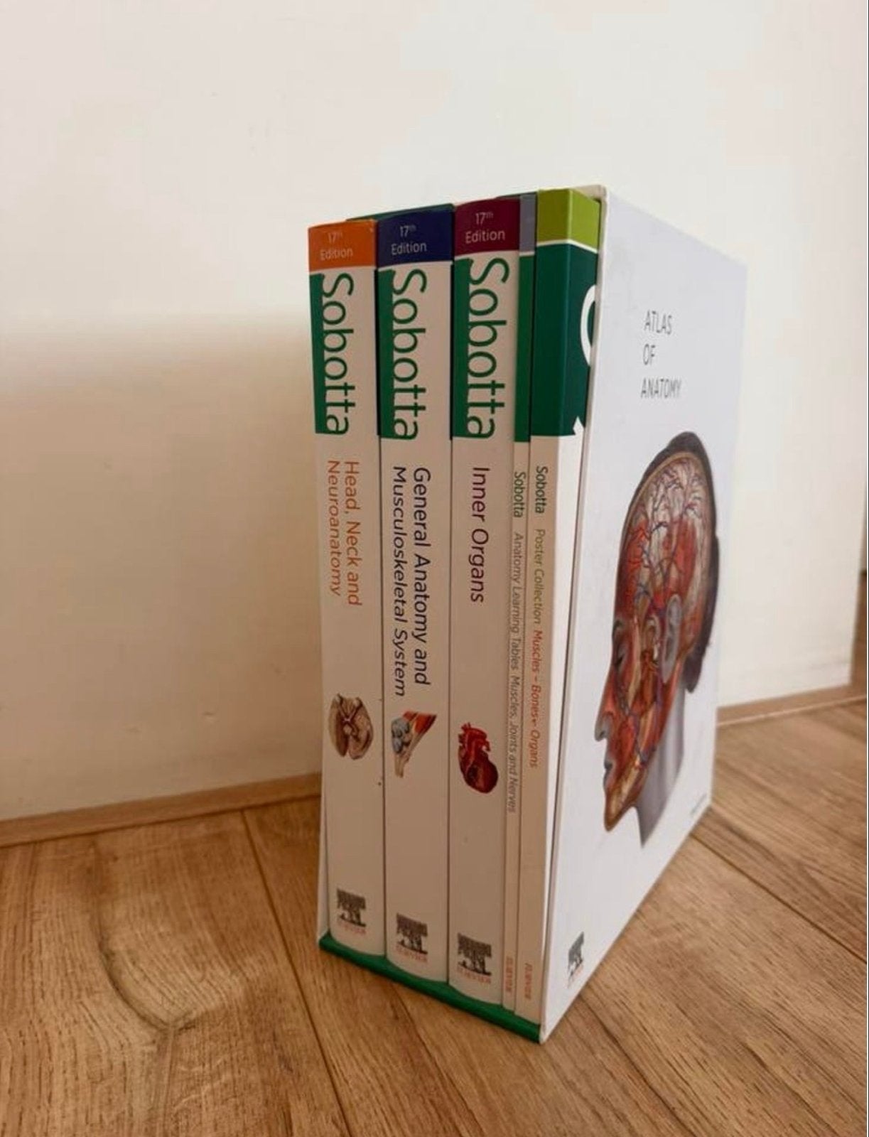 Sobotta Atlas van de Anatomie - 17e editie (3 delen), Boeken, Ophalen of Verzenden, Beta, Zo goed als nieuw, WO