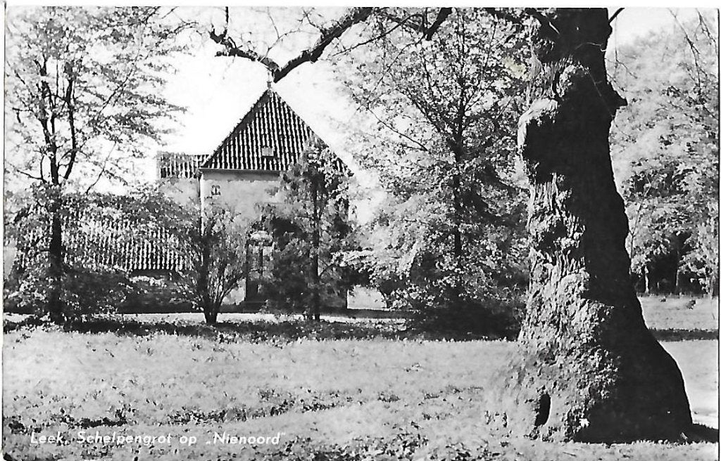 Leek Schelpengrot op Nienoord Oude Ansichtkaart ( 5027, Ophalen of Verzenden, 1940 tot 1960, Gelopen