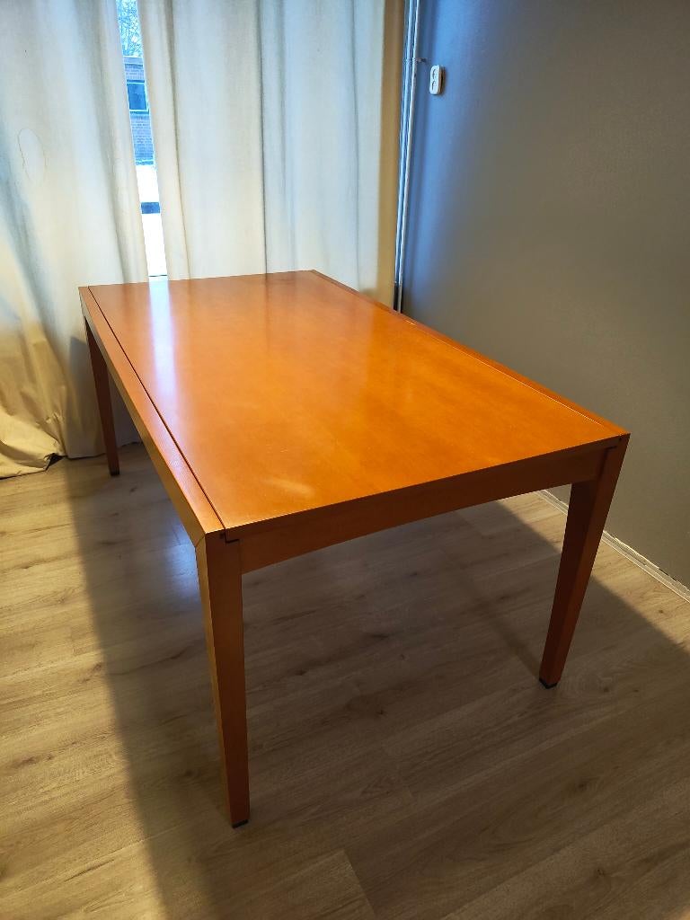 Leolux uitschuifbare eettafel, Ophalen, Gebruikt, 50 tot 100 cm, Vijf personen of meer