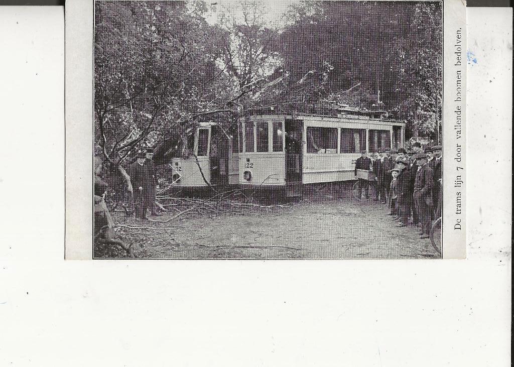 Den Haag Haagsche Bosch Tram Lijn 7 bedolven gevallen bomen, Ophalen of Verzenden, Voor 1920, Ongelopen, Zuid-Holland