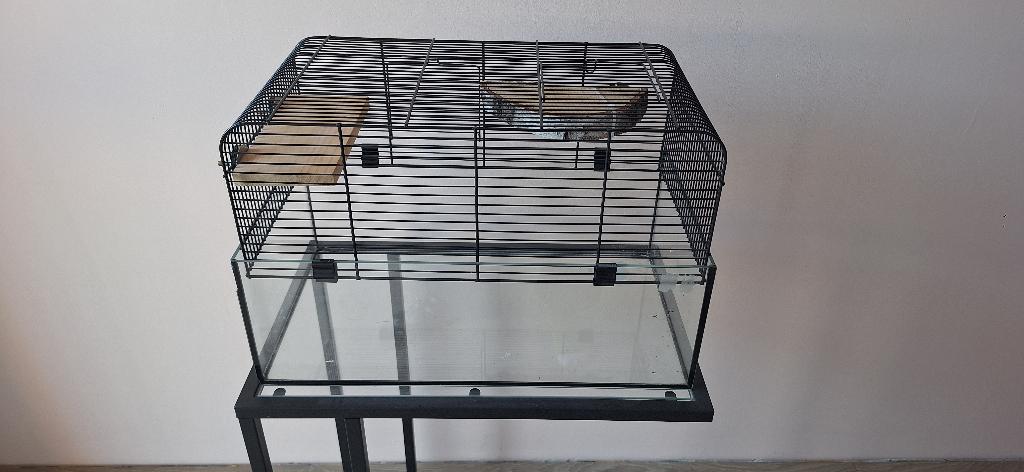 Kooi, Kooi, Minder dan 75 cm, Zo goed als nieuw, Ophalen