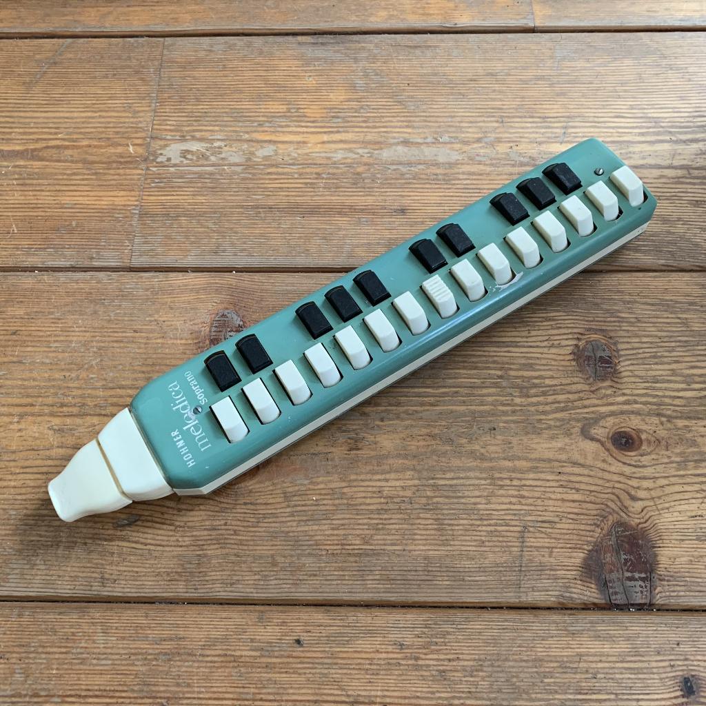 Hohner melodica soprano, Muziek en Instrumenten, Ophalen, Gebruikt, Overige typen, Met koffer of doosje