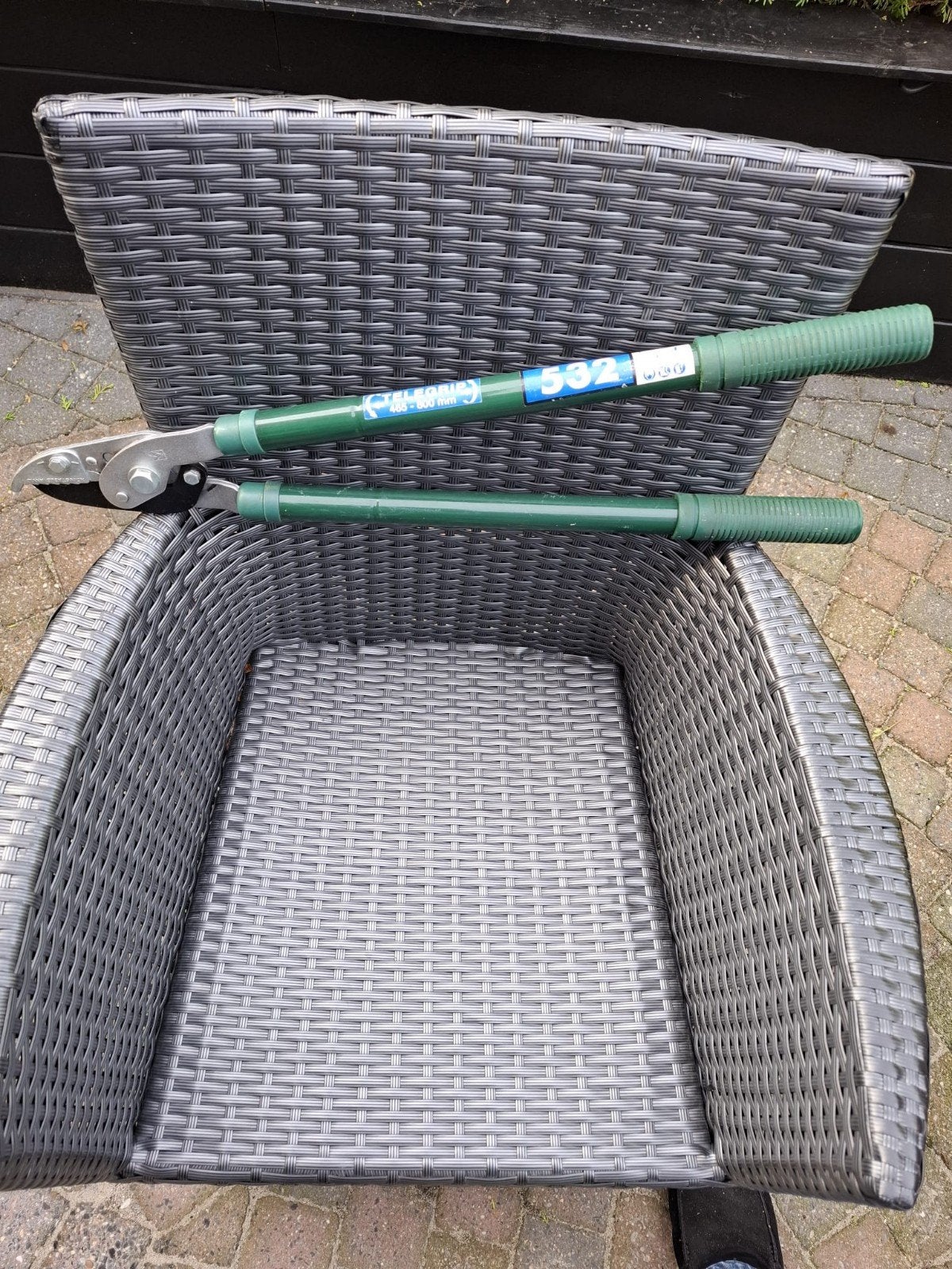 Telescopische takkenschaar - Telegrip 532, Ophalen, Gebruikt, 30 t/m 39 mm, Telegrip