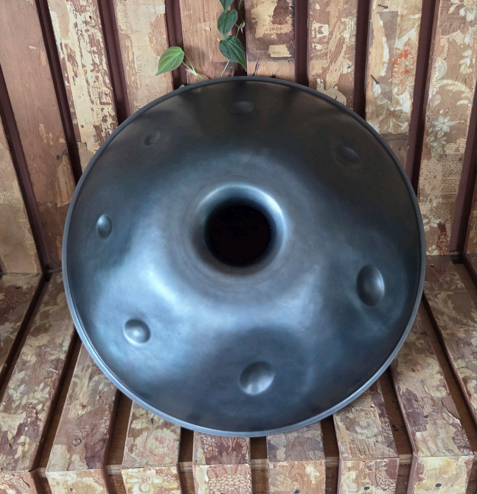 PANArt gubal met originele hardcase, Ophalen