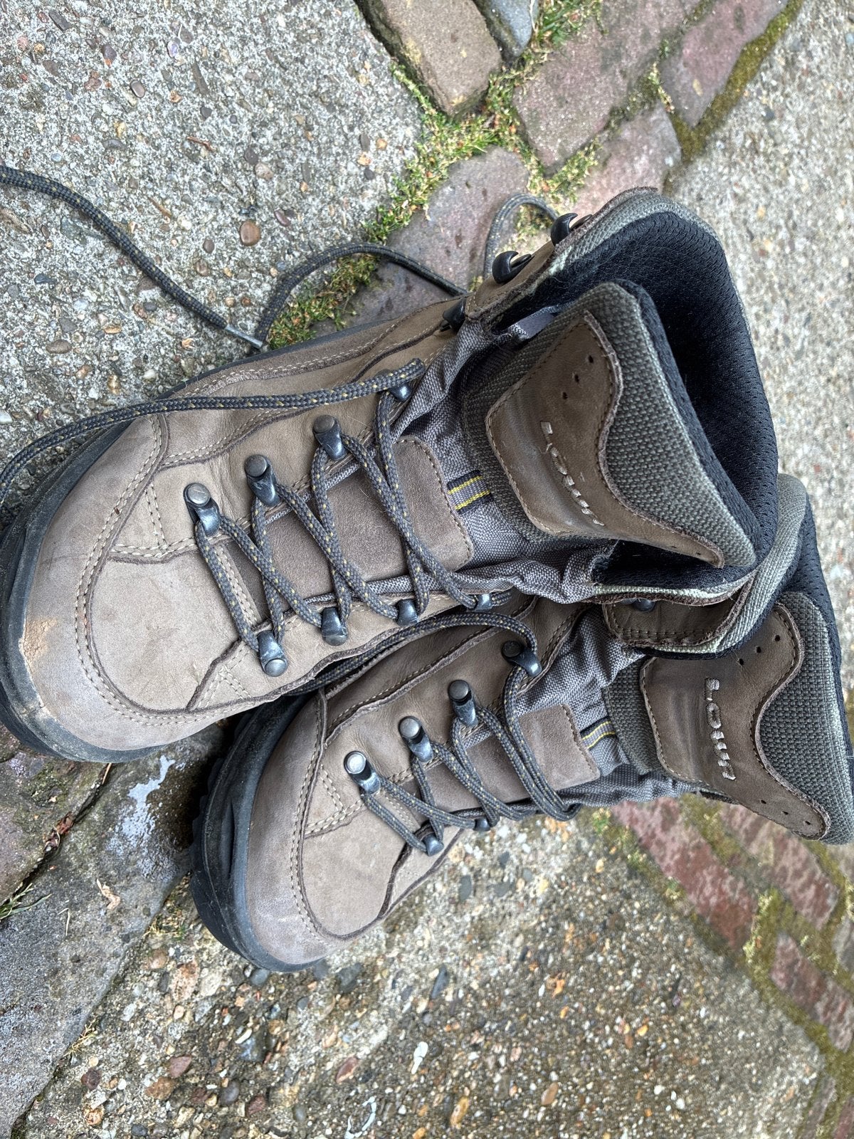 Lowa Renegade GTX Mid Ws wandelschoenen - Maat 40, Ophalen of Verzenden, Gebruikt, Schoenen