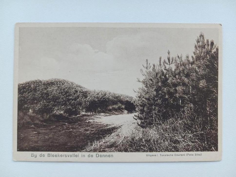 Bij de Bleekersvallei in de Dennen (Texel), Verzamelen, Ophalen of Verzenden, Voor 1920, Ongelopen, Waddeneilanden