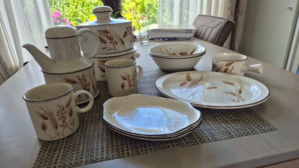Stonehenge Midwinter Wild Oats servies, Overige merken, Overige typen, Ophalen of Verzenden, Zo goed als nieuw