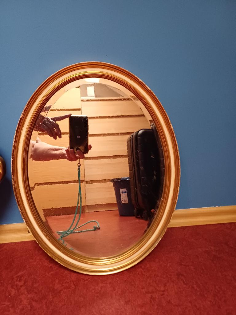 ovalen spiegel, Ophalen, Minder dan 50 cm, Gebruikt, Minder dan 100 cm