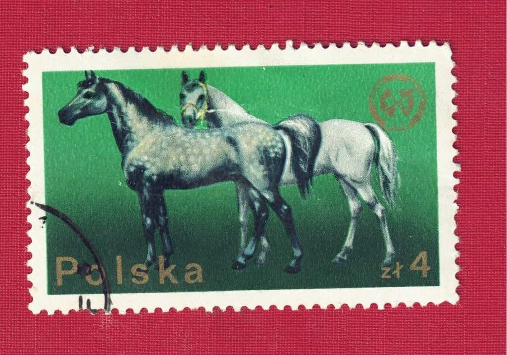 Fauna - Dieren - Paarden - Polen - 4 Zt. - gebr, Ophalen of Verzenden, Gestempeld, Dier of Natuur