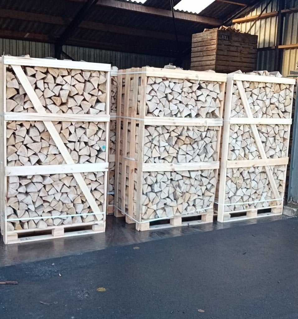 pallet met ovengedroogd HAAGBEUK,zeer hard haardhout, 25 cm., 6 m³ of meer, Ophalen of Verzenden, Beukenhout, Blokken