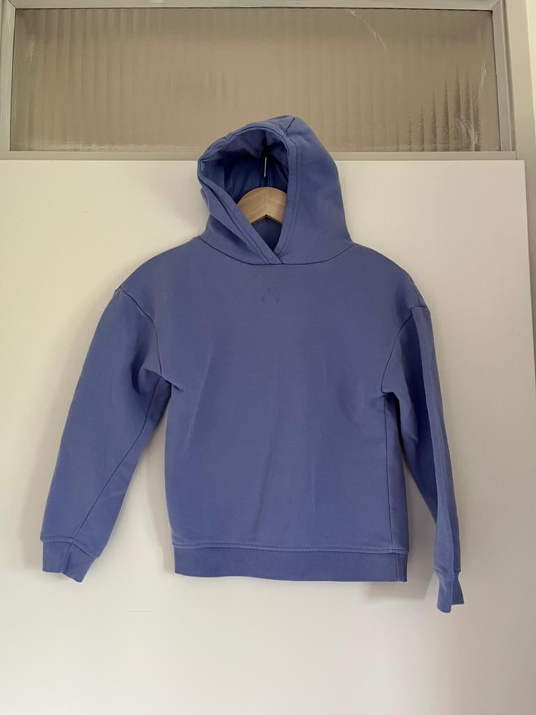 Lila / paarse effen hoodie / trui capuchon maat 134 Primark, Kinderen en Baby's, Kinderkleding | Maat 134, Ophalen of Verzenden