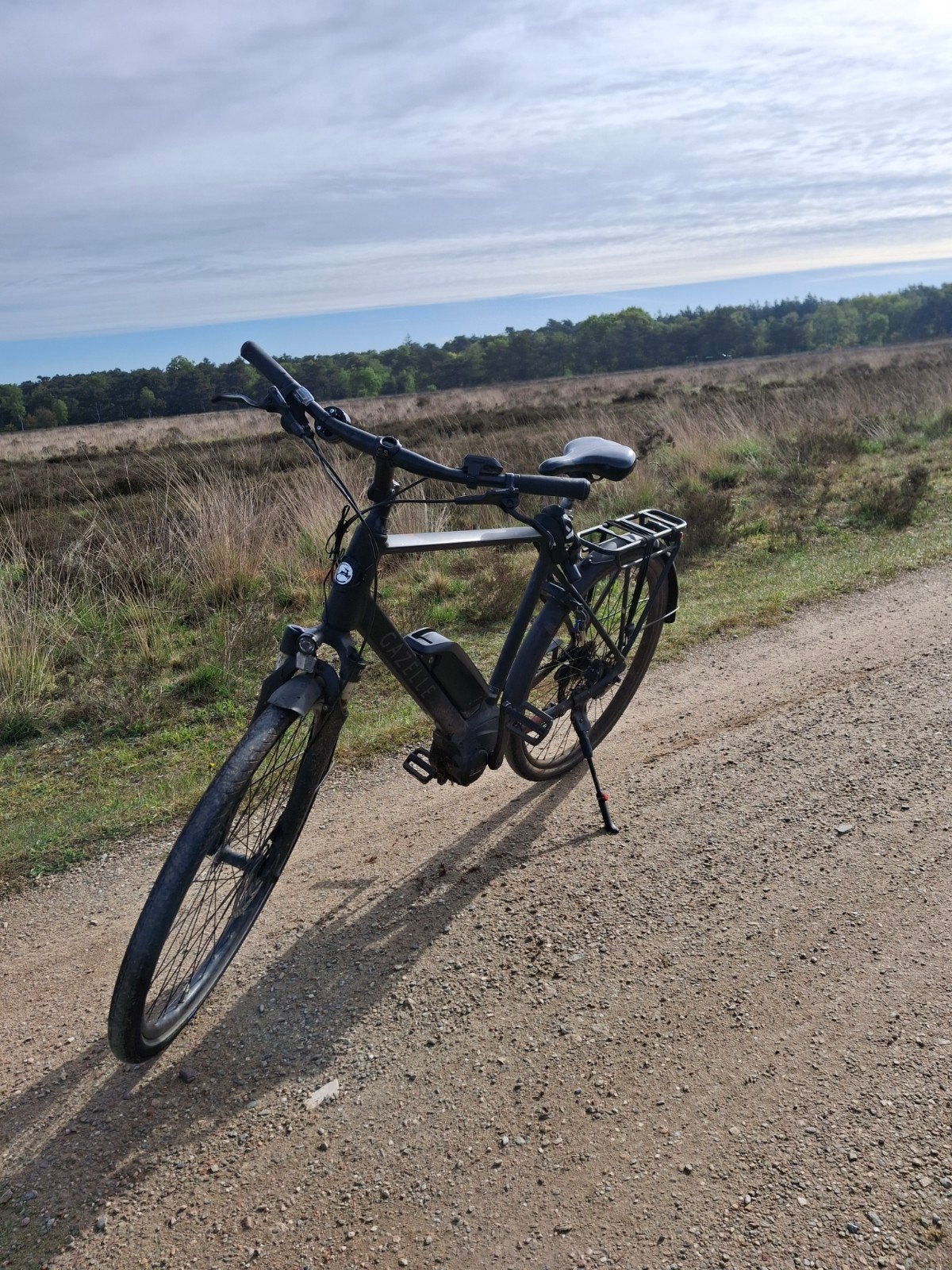 Gazelle medeo Electrische fiets., Verzenden, Gazelle