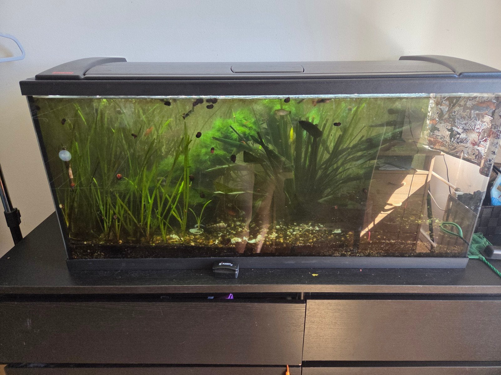 eheim 126l aquarium met alles erbij., Ophalen, Inclusief vissen, Eheim, Gevuld zoetwateraquarium