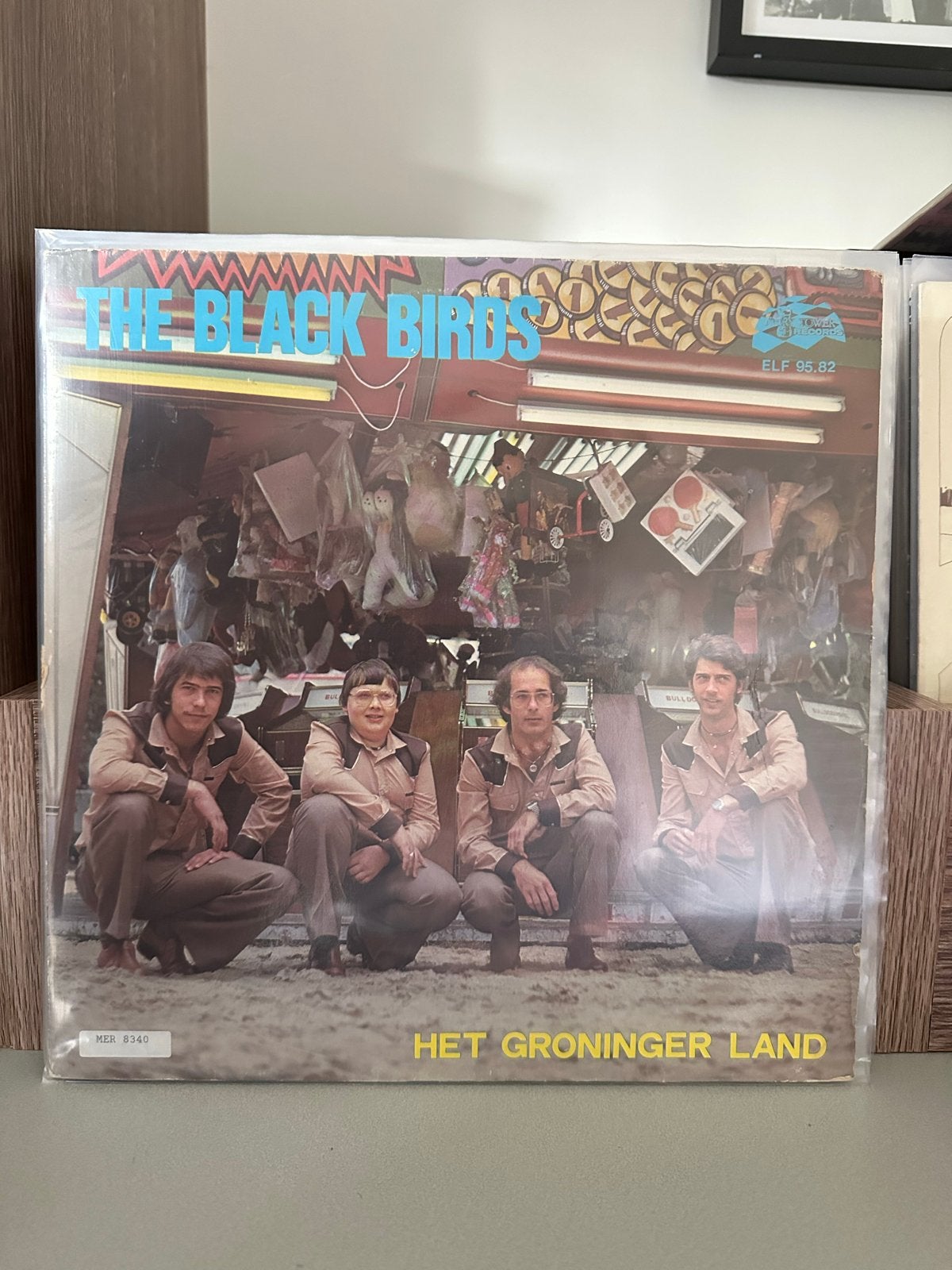 Gezocht: The Black Birds - Het Groninger Land LP, LP, Gebruikt, Ophalen of Verzenden, 12 inch