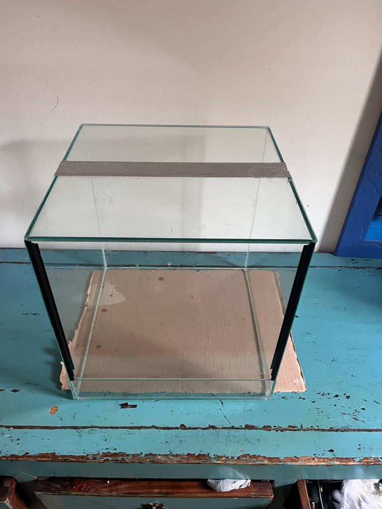 Terrarium, Dieren en Toebehoren, Reptielen en Amfibieën | Toebehoren, Ophalen, Zo goed als nieuw, Terrarium of Paludarium