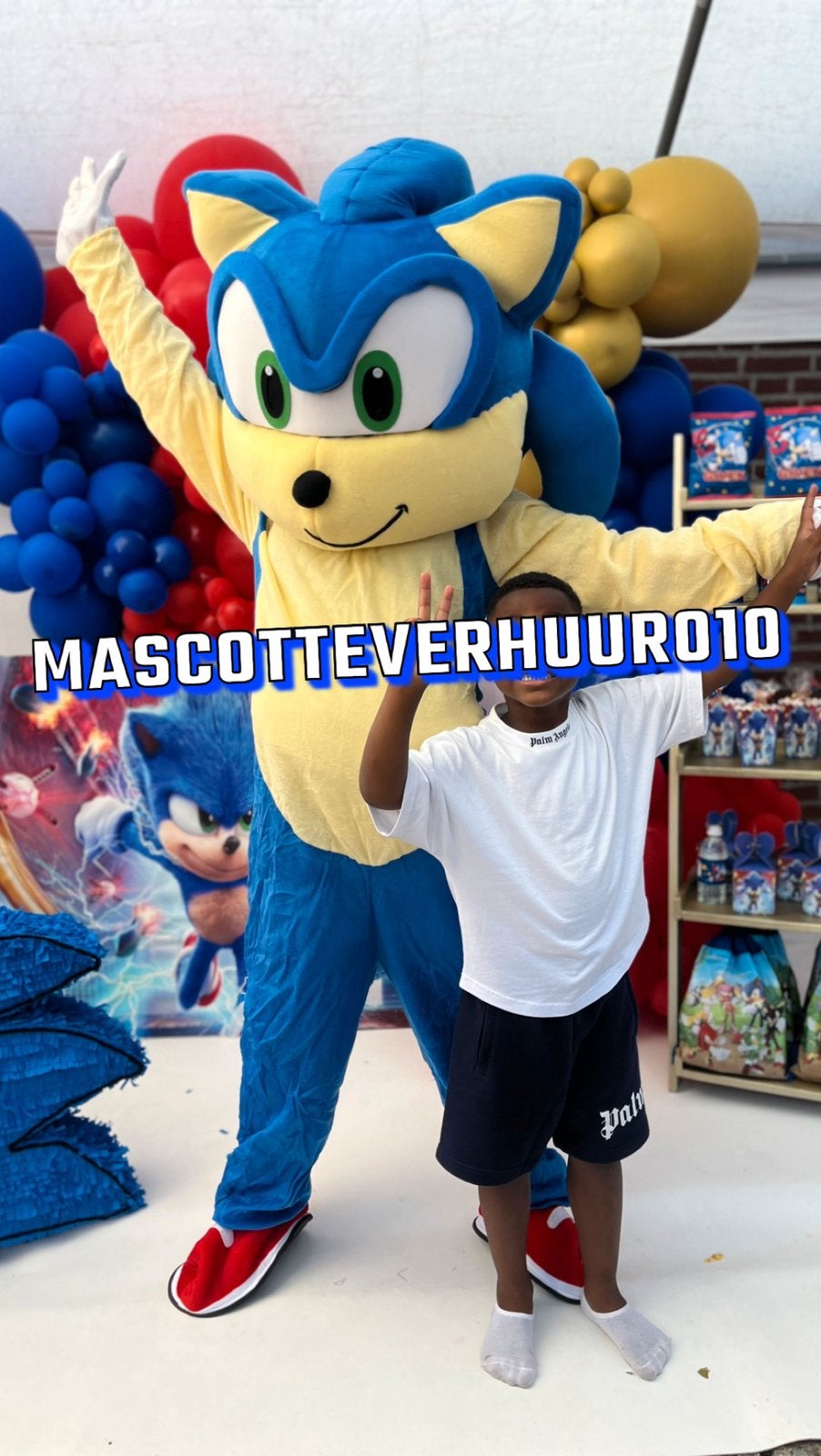 Super Sonic mascotte te huur, Ophalen, Zo goed als nieuw, Verjaardag