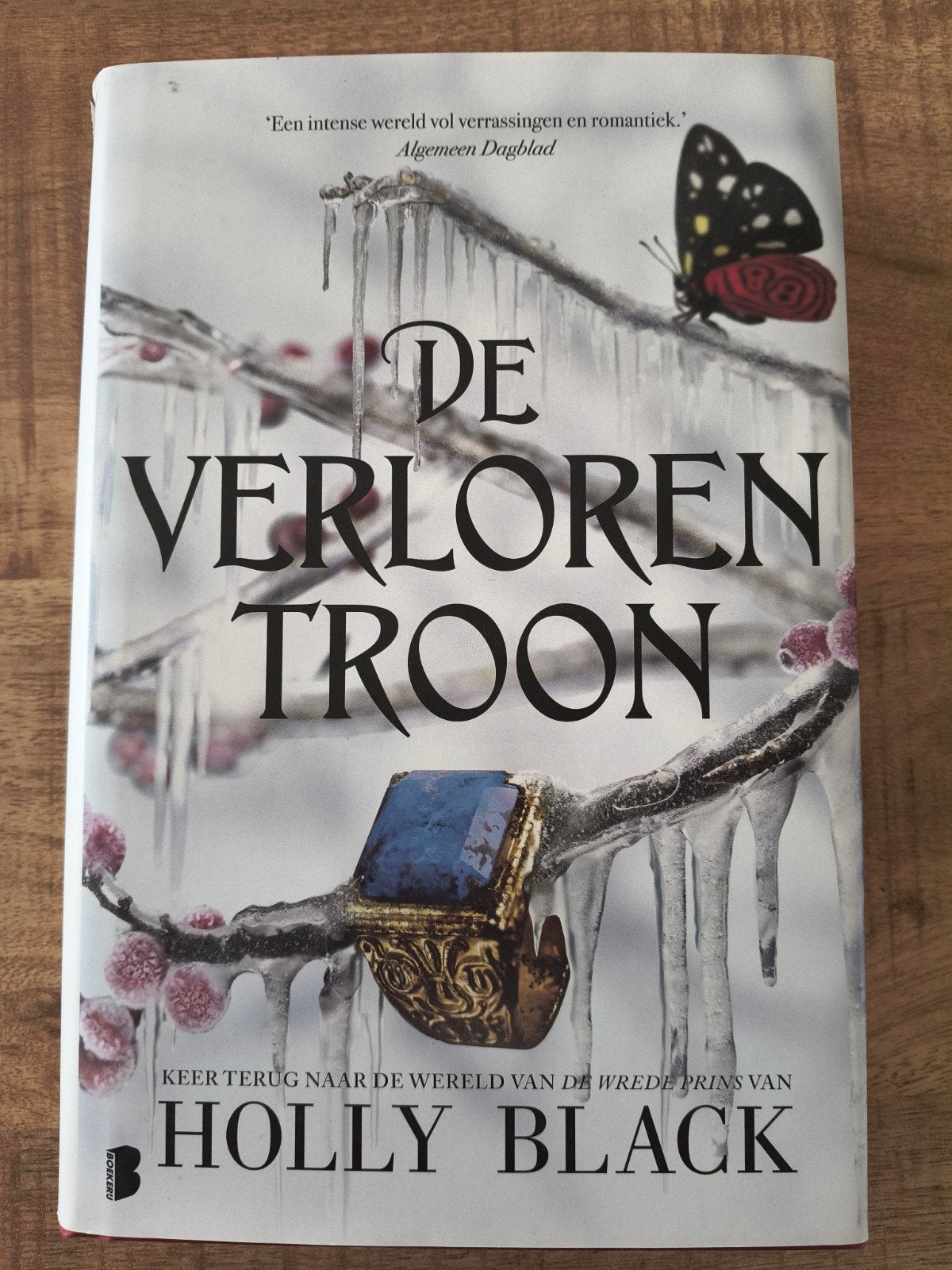 De Verloren Troon - Holly Black (Zo goed als nieuw), Boeken, Ophalen of Verzenden, Zo goed als nieuw, Holly Black