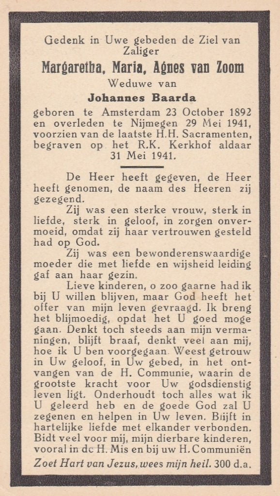 bp van zoom,zoon,zuidema,zuiderent,zuiderhoek,zuidervaart, Ophalen of Verzenden