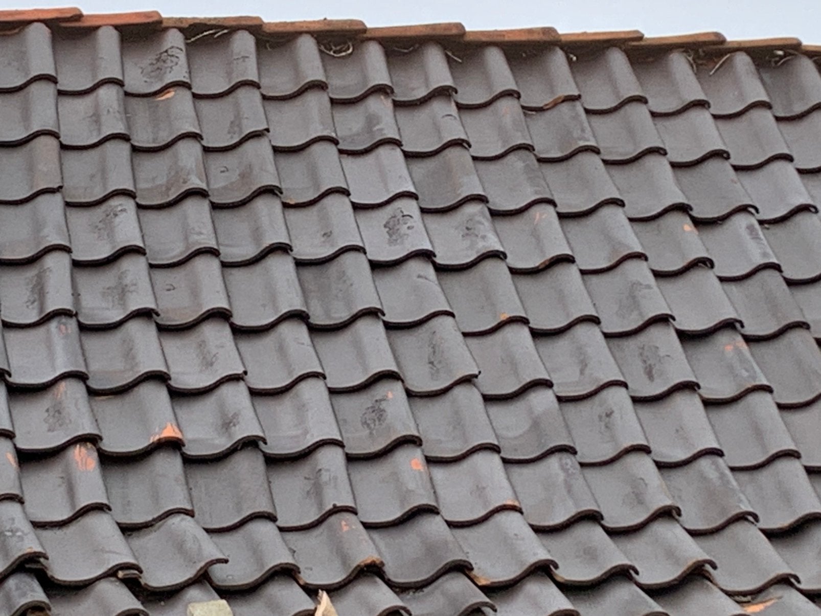 Gratis dakpannen, Ophalen, Steen of Klei, Zo goed als nieuw, 15 m² of meer