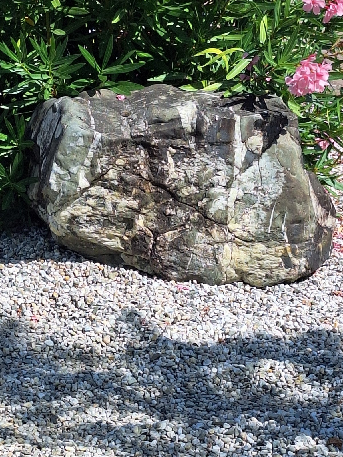 grote/natuur/sier/kei/dieren/tuin/decoratie/steen/verzamelen, Ophalen, Graniet, Overige typen