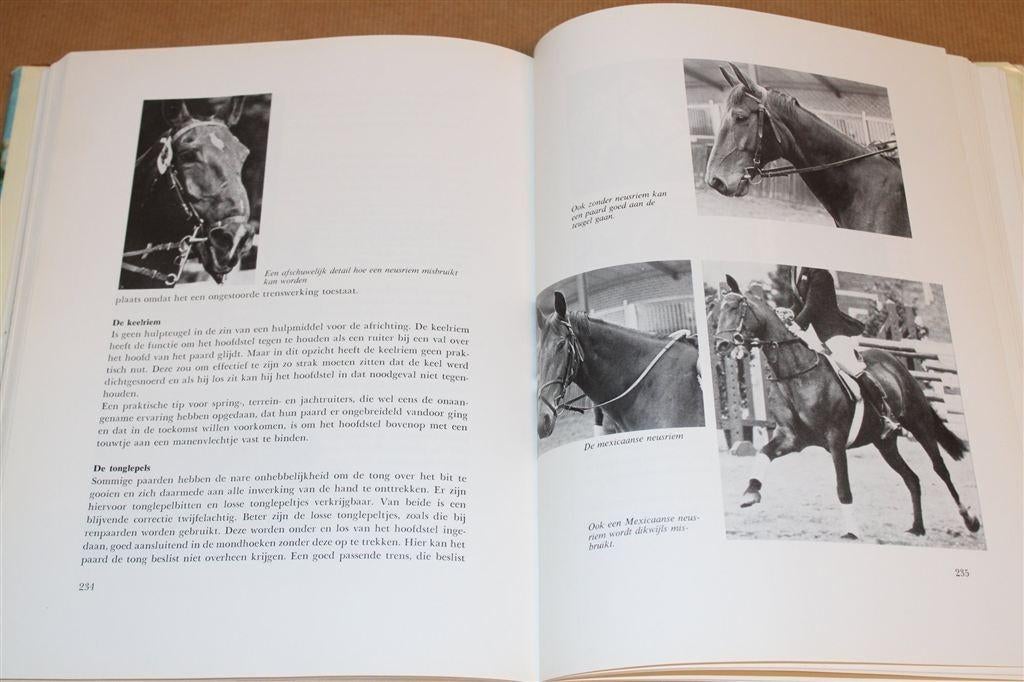 Ruiters en Rechters — Dressuur & Jureren [Hippoboek 1971], Boeken, Ophalen of Verzenden, Gelezen, Honden