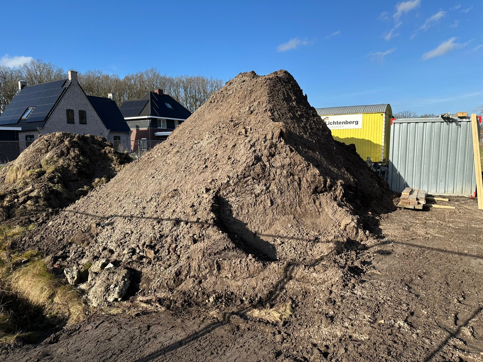 Gratis tuin aarde (grond), Ophalen of Verzenden, Laurier, 100 tot 250 cm