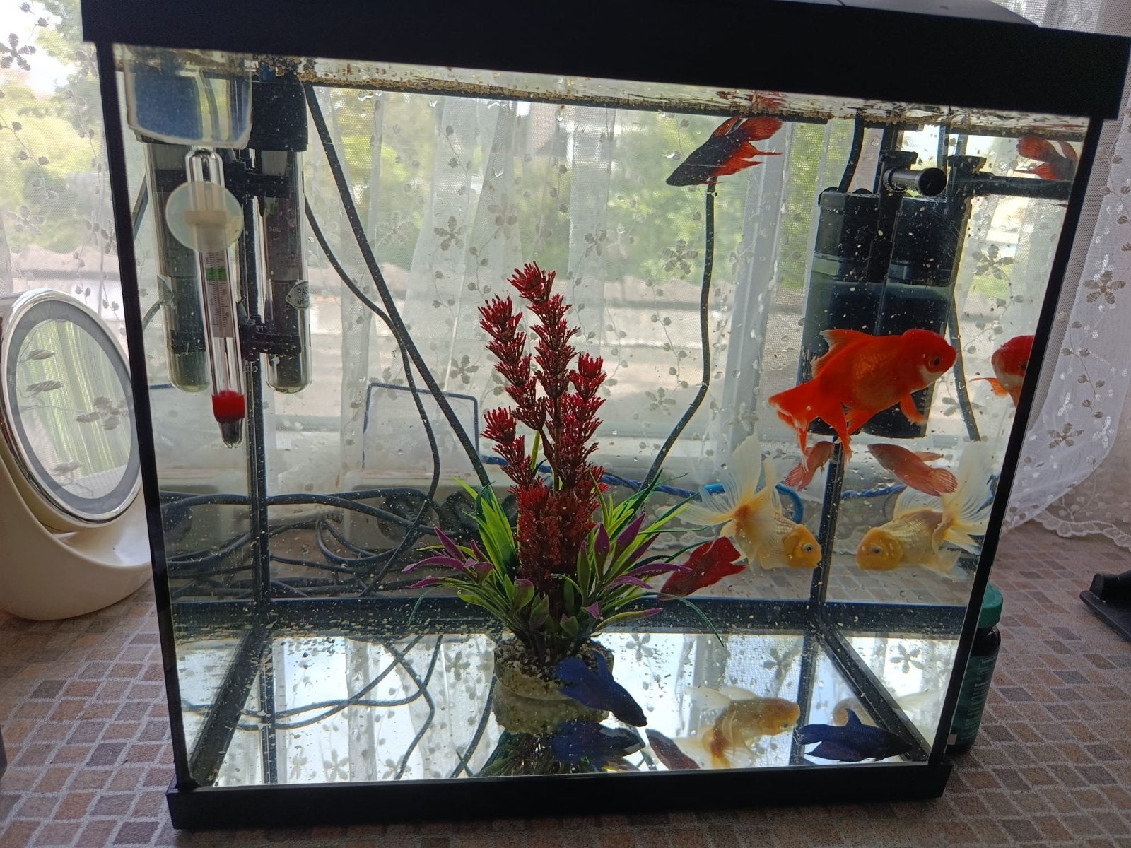 Nette Aquarium, Dieren en Toebehoren, Vissen | Aquaria en Toebehoren, Ophalen of Verzenden, Inclusief toebehoren, Zo goed als nieuw
