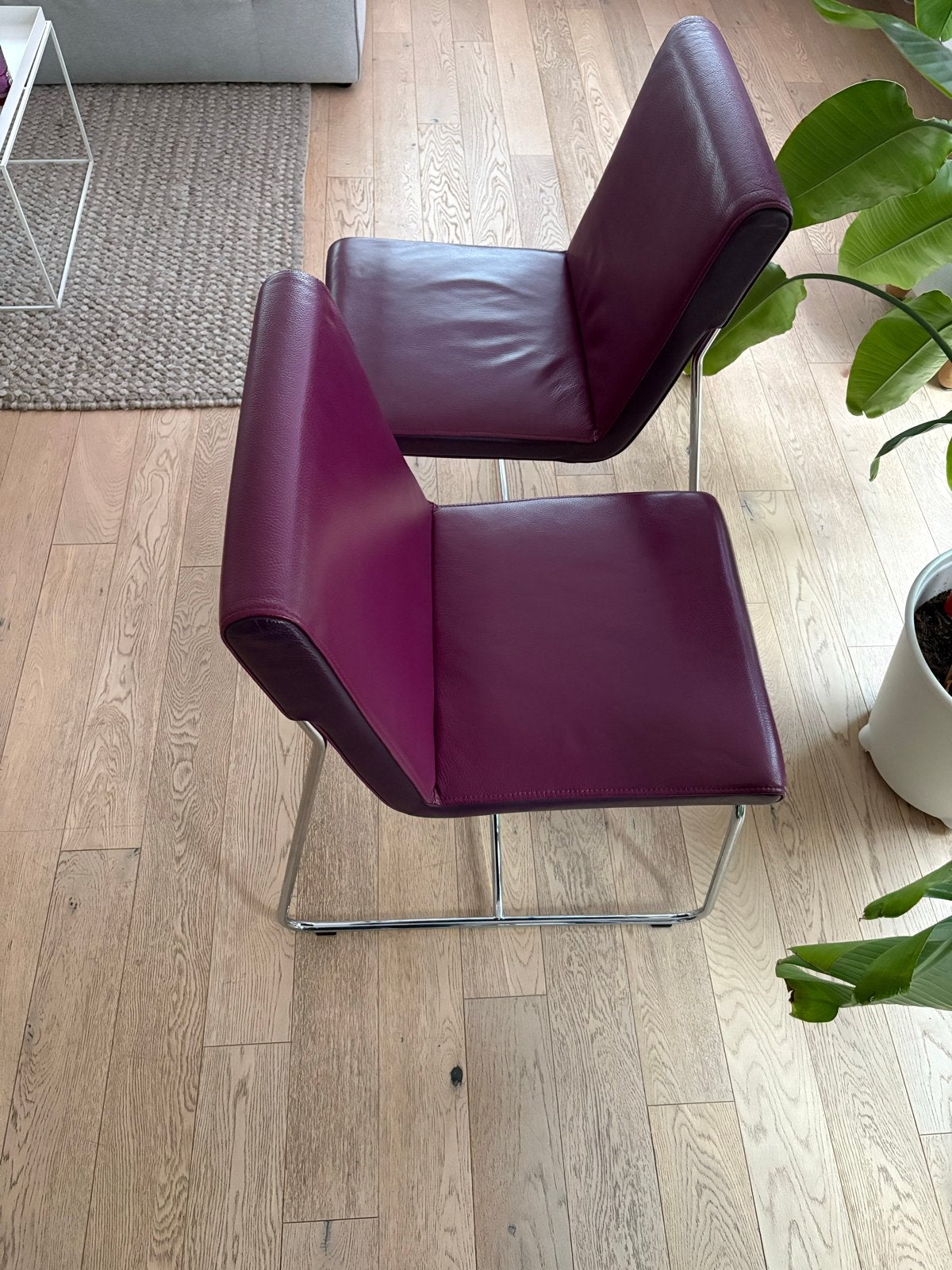 2 Prachtige Leolux Spring Eetkamerstoelen, Ophalen, Gebruikt, Twee, Overige kleuren