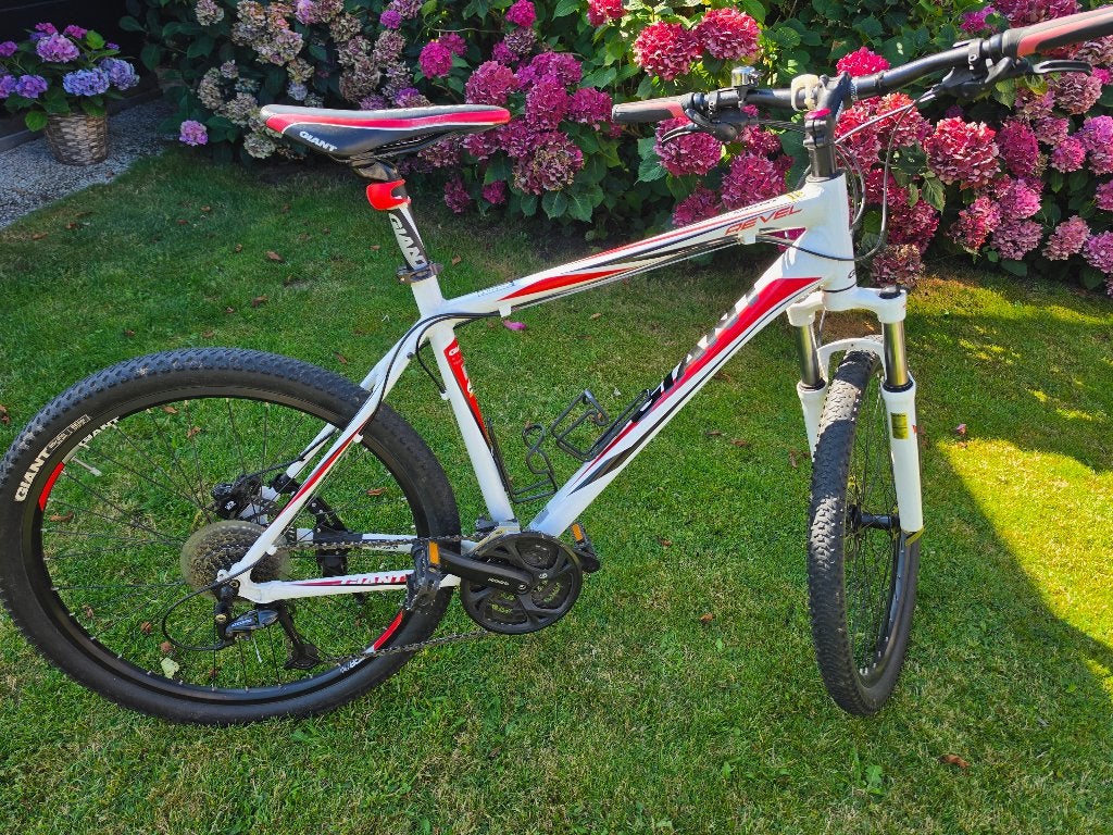 Giant Revel 0 Mountainbike, Ophalen, Gebruikt, Hardtail, 49 tot 53 cm
