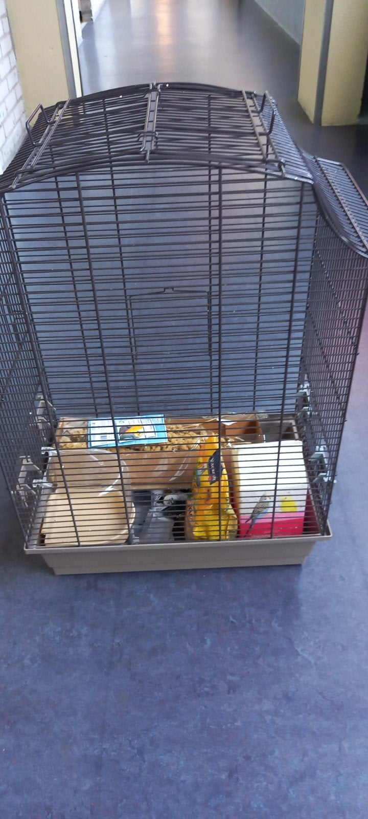 Vogelkooi als nieuw, Minder dan 60 cm, Kooi, Minder dan 75 cm, Ophalen of Verzenden